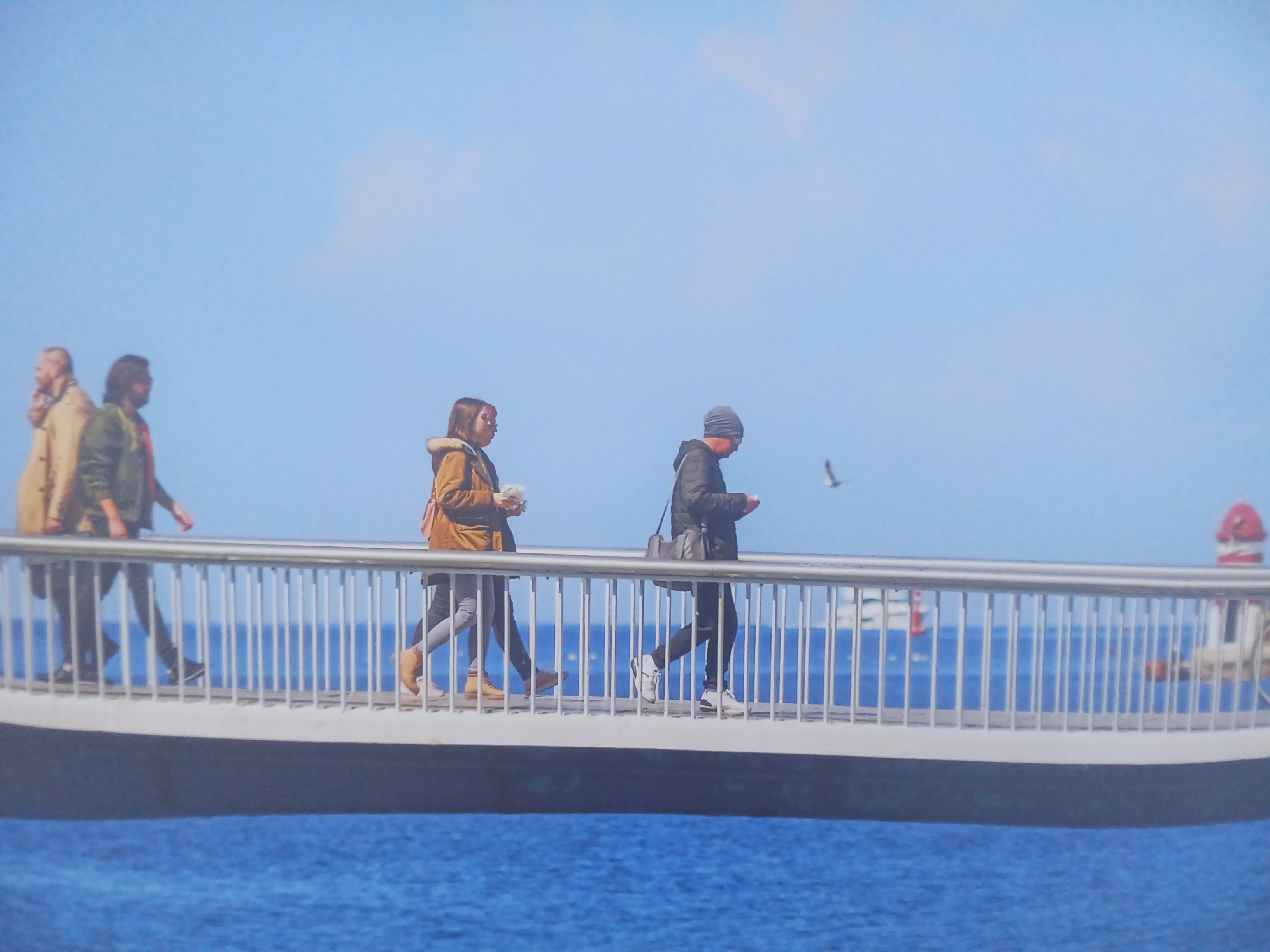 Izložba fotografija posvećenih zadarskom mostu u atriju palače Cedulin