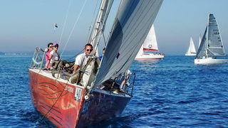 “Zadarska koka”: Regata za sve generacije snimljena iz “koke” “Zadarska koka”: Regata za sve generacije snimljena iz “koke”