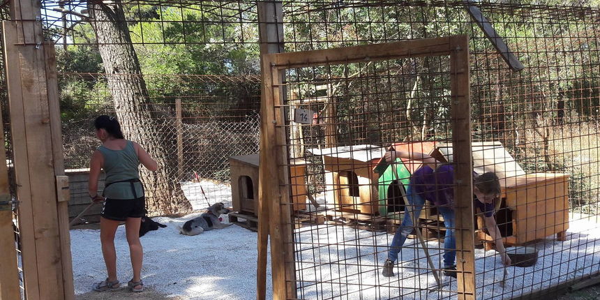 Zadarski azil na Žmirićima