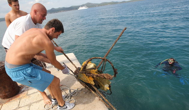 Zadar, 240711.
Akcija ciscenja mora na zadarskoj rivi koji su pokrenuli organizatori Vacanze – gradskog turnira u vaterpolu koji ce se slijedecih dana odigrati na rivi.
Foto: Vladimir Ivanov / CROPIX