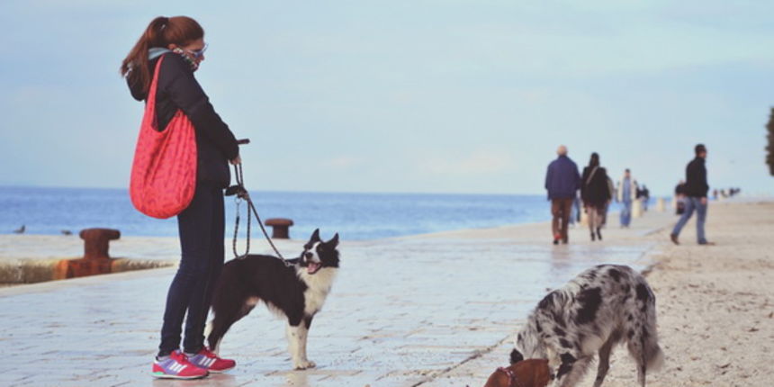 Đir po gradu 19. prosinca 2014. Foto: Marin Pitton