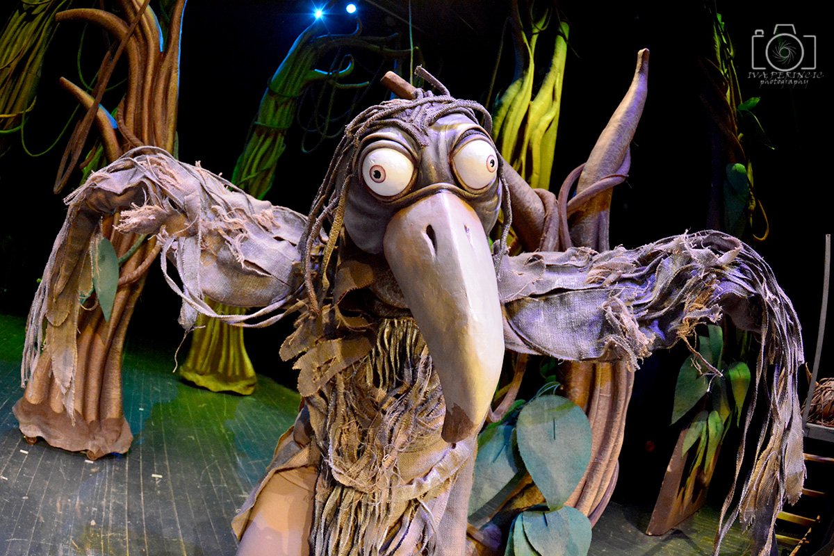 Knjiga o džungli, foto: Iva Perinčić Knjiga o džungli, foto: Iva Perinčić