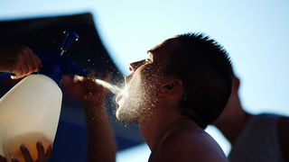 Image 1175635 (auto)