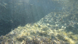 OLYMPUS DIGITAL CAMERA OLYMPUS DIGITAL CAMERA