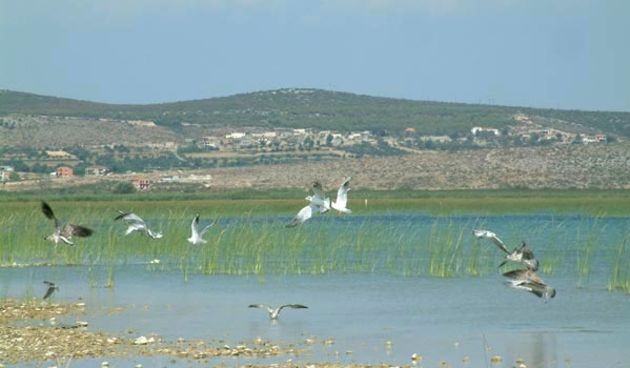 Park prirode Vransko jezero