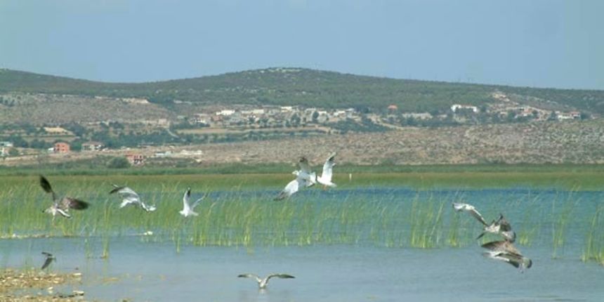 Park prirode Vransko jezero