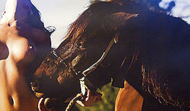 Image 1206179 (auto)