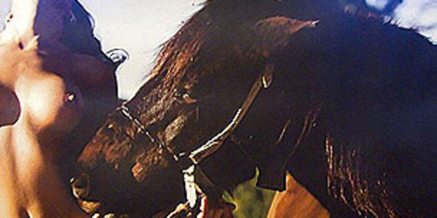 Image 1206179 (auto)