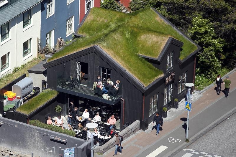 Đir po Reykjaviku, glavnom gradu Islanda