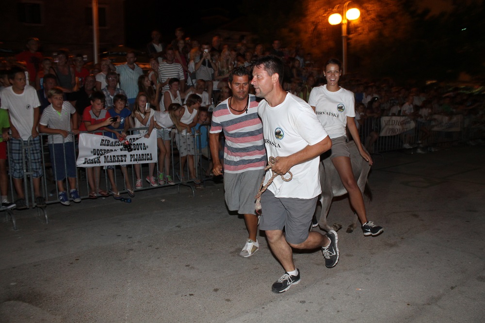 10. međunarodna trka tovarov Tisno 2015