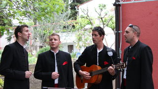 Sveti Filip i Jakov: 11. Dani cvijeca Zadarske zupanije, Foto: Martin Brkljaca Sveti Filip i Jakov: 11. Dani cvijeca Zadarske zupanije, Foto: Martin Brkljaca