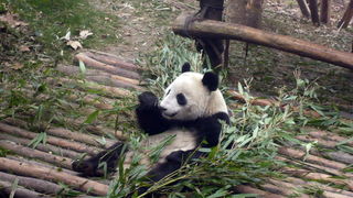 Putovanje u Kinu i Tibet (Foto:Iva Bur