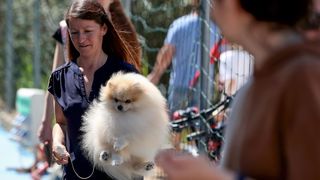 Međunarodna izložba pasa CACIB 2023