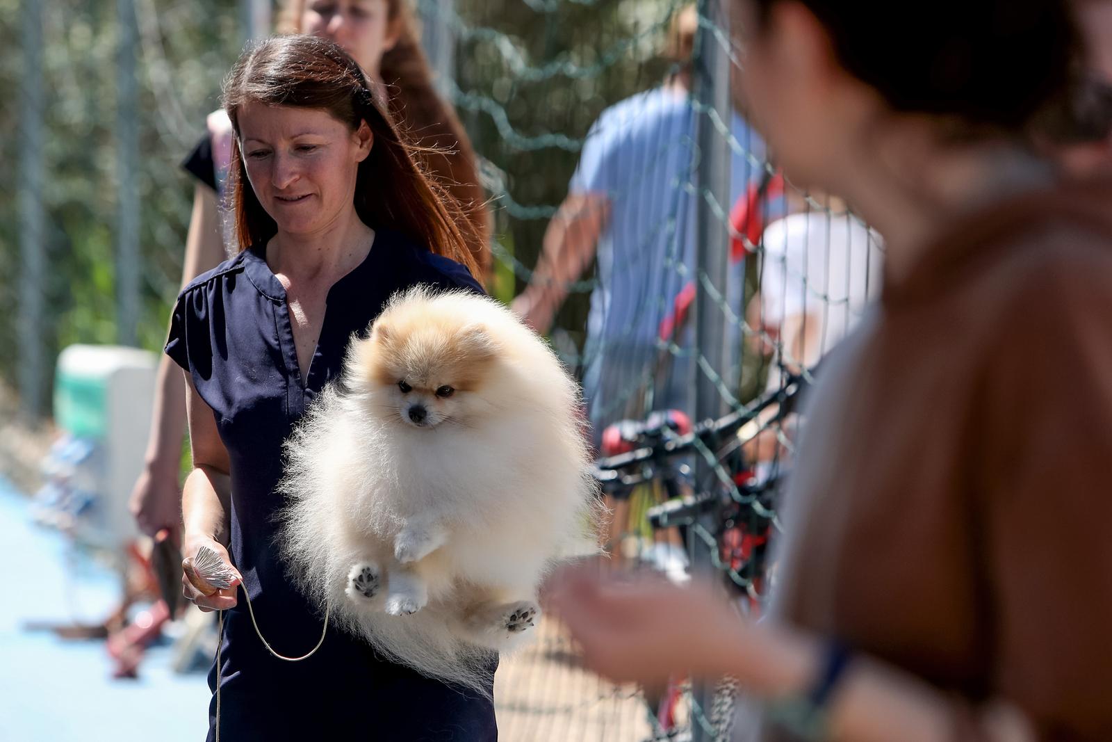 Međunarodna izložba pasa CACIB 2023