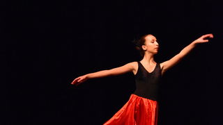 Solo Art natjecanje: Plesna udruga Pirueta