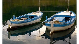 Image 1194607 (auto)