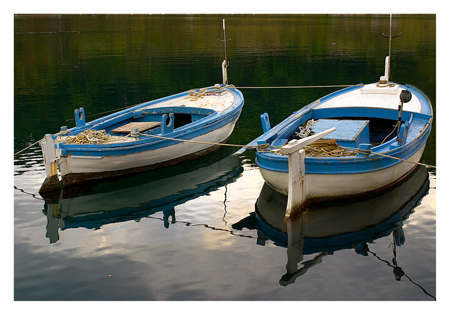 Image 1194607 (auto)