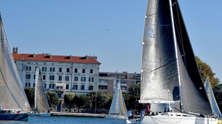 Sva lica “Zadarske koke” Sva lica “Zadarske koke”