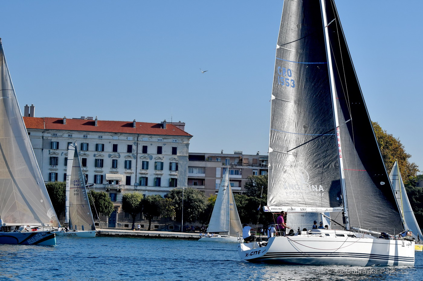 Sva lica “Zadarske koke” Sva lica “Zadarske koke”