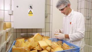 Paški sir sirane Gligora osvojio titulu najboljeg sira na svijetu, Photo: Dino Stanin/PIXSELL Paški sir sirane Gligora osvojio titulu najboljeg sira na svijetu, Photo: Dino Stanin/PIXSELL