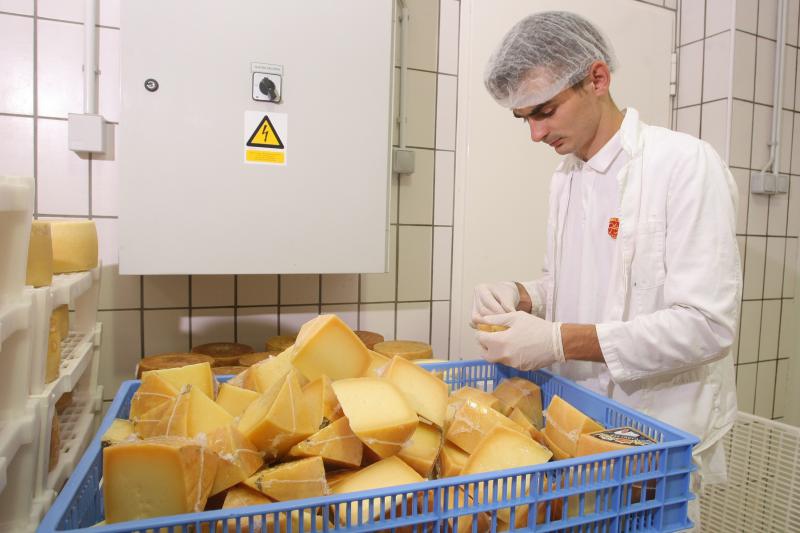 Paški sir sirane Gligora osvojio titulu najboljeg sira na svijetu, Photo: Dino Stanin/PIXSELL Paški sir sirane Gligora osvojio titulu najboljeg sira na svijetu, Photo: Dino Stanin/PIXSELL