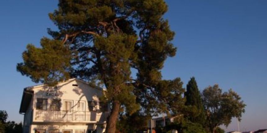 Zadarski hostel na Boriku (Foto: imageshack.us) Zadarski hostel na Boriku (Foto: imageshack.us)