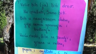 “Zelena čistka”: Musapstan “lakši” za 3 tone otpada!