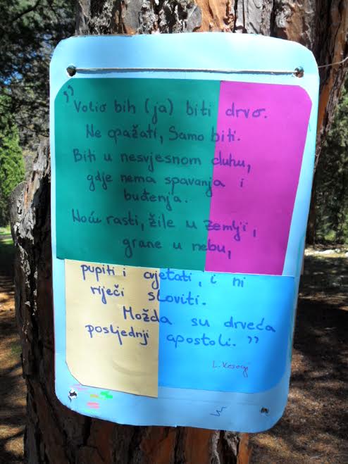 “Zelena čistka”: Musapstan “lakši” za 3 tone otpada!