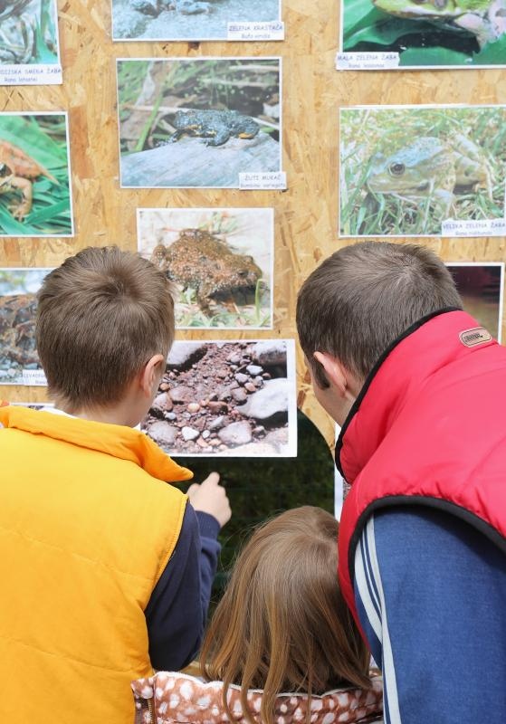 U Zooloskom vrtu u Zagrebu obiljezen Zablji dan u sklopu kojeg su se odrzavale razne radionice, a zainteresirani posjetitelji mogli su i dirati zabe. Photo: Tomislav Miletic/PIXSELL