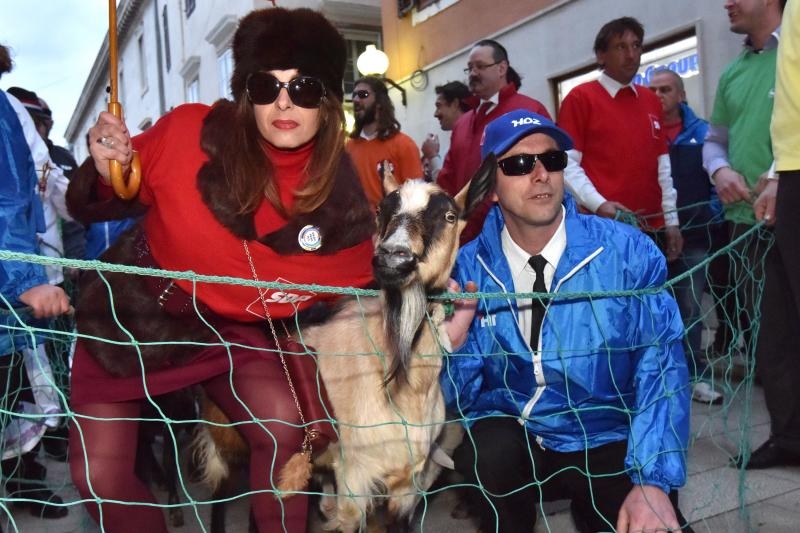 Poznata zadarska skupina Bleke i Konji na karnevalskoj povorci pojavila se sa stadom ovaca koje su doveli na sredisnji gradski trg. Clanovi skupine bili su obuceni u majice hrvatskih politickih stranaka koje su medjusobno izmjenjivali uz domoljubne pjesme