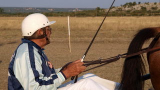 Polaca, utrke konja Oluja 95 Polaca, utrke konja Oluja 95