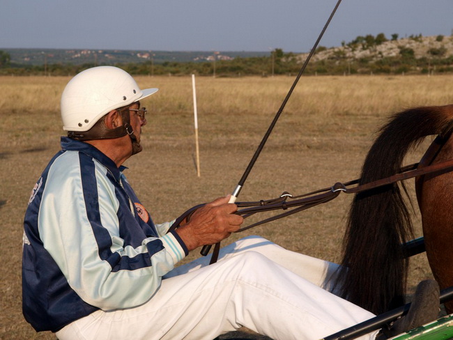 Polaca, utrke konja Oluja 95 Polaca, utrke konja Oluja 95