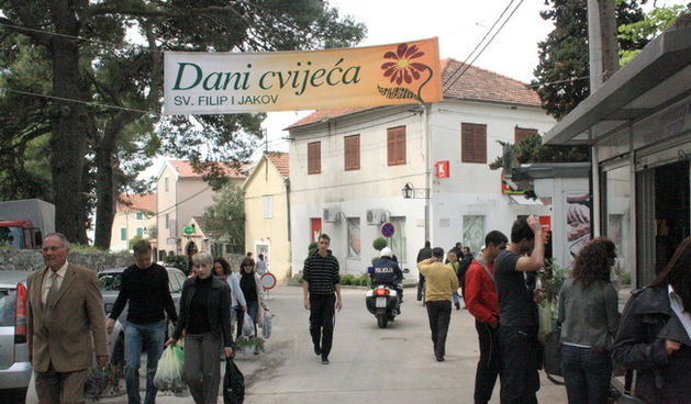 10. Dani cvije