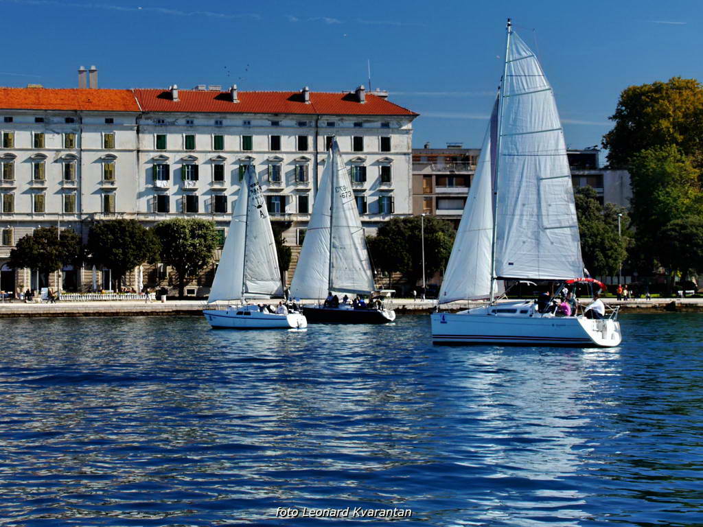 Regata Zadarska Koka 2015. Regata Zadarska Koka 2015.