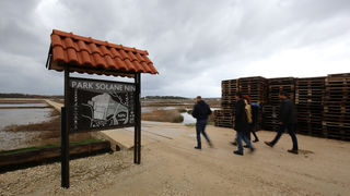 Posjet Solani Nin i Kraljevskim vinogradima u Petrčanima