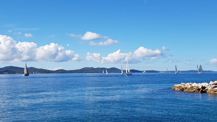 Zadarska Koka 2016. 22. listopada 2016. Foto: Mladen Malik Zadarska Koka 2016. 22. listopada 2016. Foto: Mladen Malik