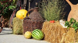 4. po redu večer pisme, folklora i starih običaja “Dođi diko u Kotare ravne – Zemunik 2012.”, foto: Željko Šarić