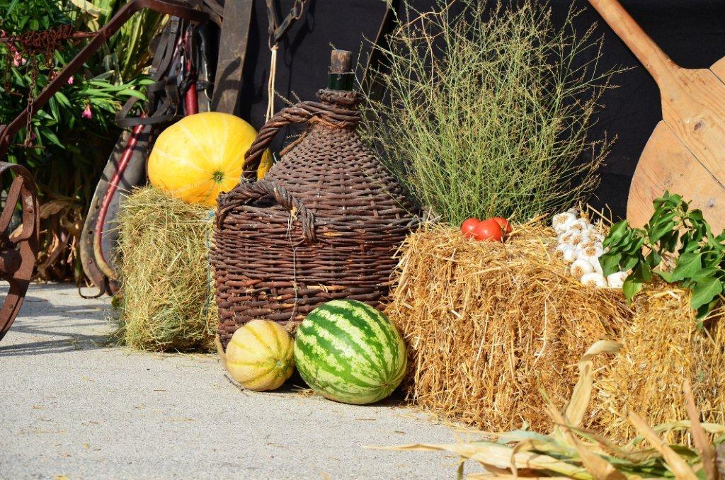 4. po redu večer pisme, folklora i starih običaja “Dođi diko u Kotare ravne – Zemunik 2012.”, foto: Željko Šarić