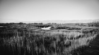 Crno bijela bajka na Kraljičinoj plaži, foto: Iva Perinčić