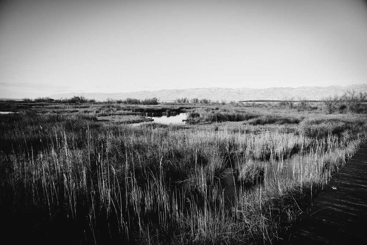 Crno bijela bajka na Kraljičinoj plaži, foto: Iva Perinčić