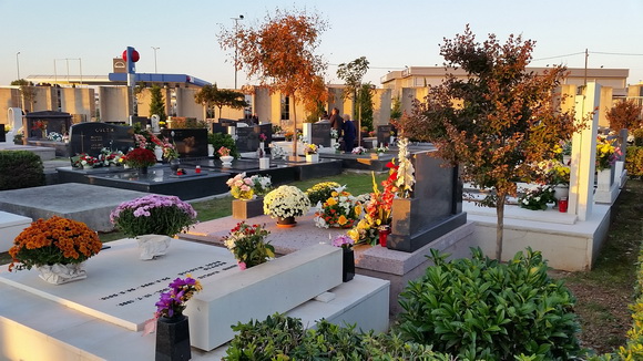Uoči blagdana Svih svetih brojni su Zadrani posjetili Gradsko groblje i uredili počivališta najmilijih i okitili ih cvijećem, Foto: M. Malik Uoči blagdana Svih svetih brojni su Zadrani posjetili Gradsko groblje i uredili počivališta najmilijih i okitili ih cvijećem, Foto: M. Malik