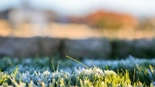 Jutro u Ninu, 12. prosinca, foto: Marin Pitton