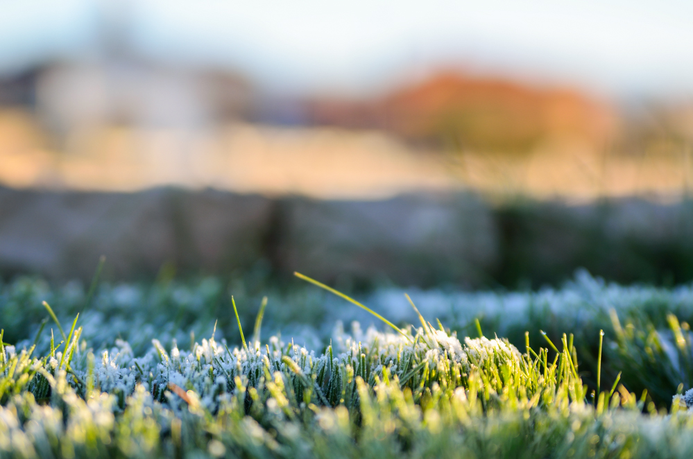 Jutro u Ninu, 12. prosinca, foto: Marin Pitton