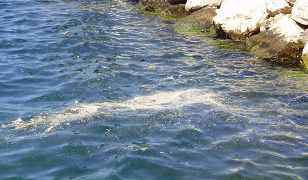 Zagađenje – Punta Bajlo (Foto: S. Klarica)