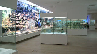 Muzej antičkog stakla (foto: Antonija Gospić)