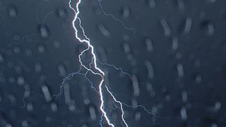 Image 1207441 (auto)