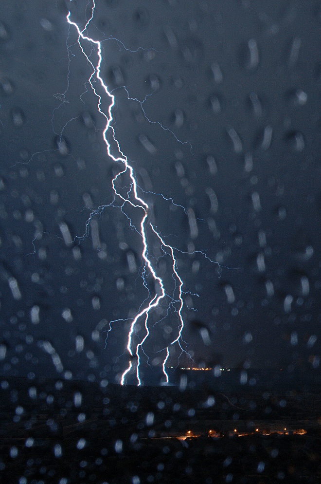 Image 1207441 (auto)