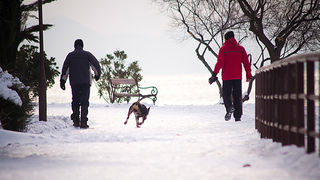 Đir po Punti Bajlo, 7. veljače 2012. (foto:Saša Čuka)