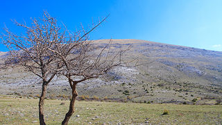Izlet u Libinje 6. travnja 2011, Foto: Leo Banic