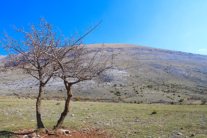 Izlet u Libinje 6. travnja 2011, Foto: Leo Banic